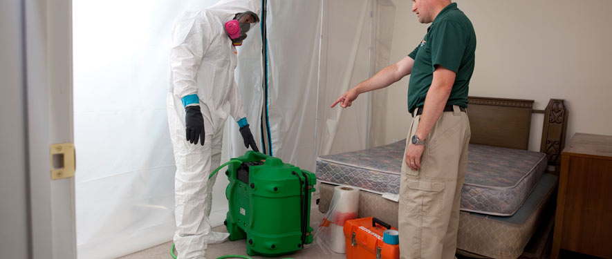 Eastvale, CA mold removal process